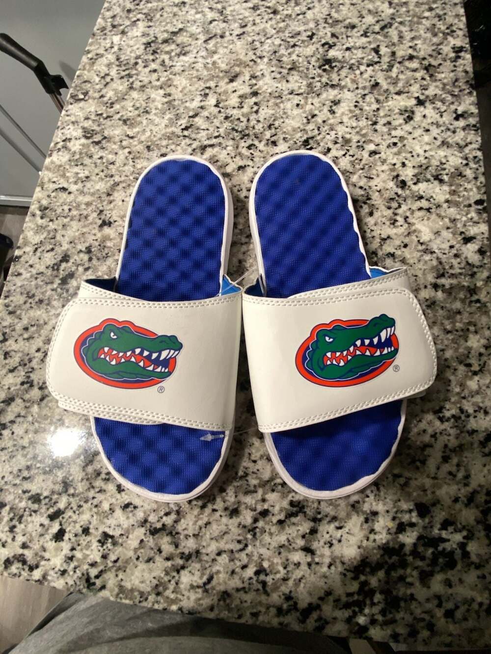 ISlide University of Florida Gators Primary Logo Slide Sandals